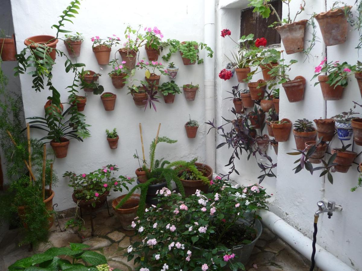 Casa Sol Vila Vejer de la Frontera Exterior foto